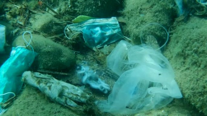 死章鱼在塑料瓶内的塑料和其他垃圾中。新型冠状病毒肺炎正在造成污染，因为废弃的二手口罩和塑料垃圾会污染