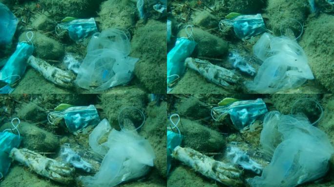 死章鱼在塑料瓶内的塑料和其他垃圾中。新型冠状病毒肺炎正在造成污染，因为废弃的二手口罩和塑料垃圾会污染