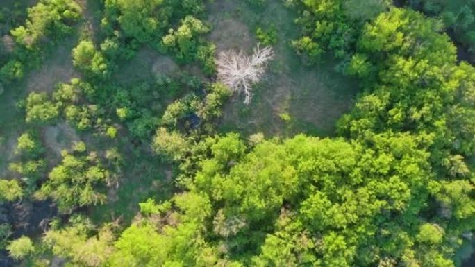 野河空中无人机射击