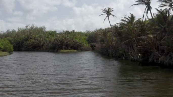 热带河流与棕榈树揭示人造山