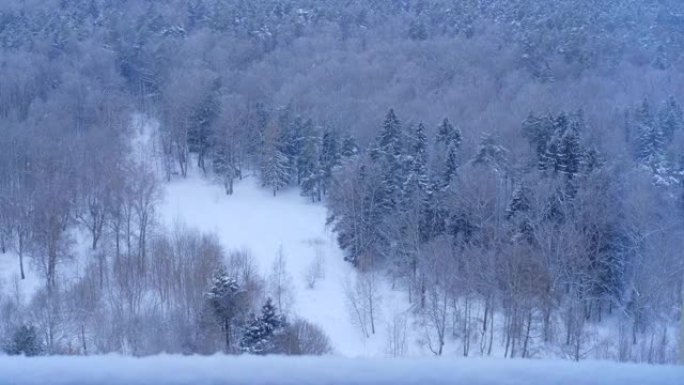 降雪期间冬季公园的林间空地，背景顶视图
