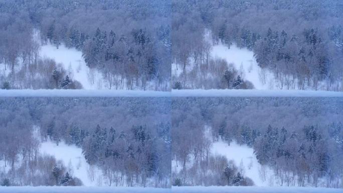 降雪期间冬季公园的林间空地，背景顶视图
