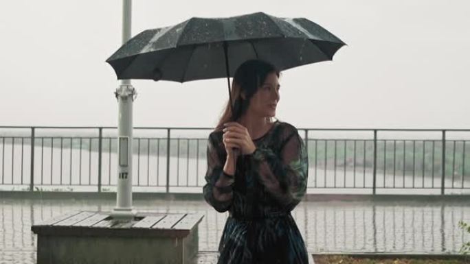 雨中穿着湿衣服的快乐女士躲在黑色雨伞下