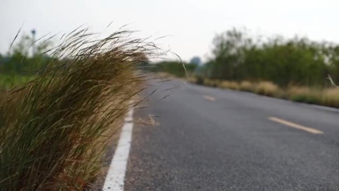 宁静的自然晨景，秋天的背景。