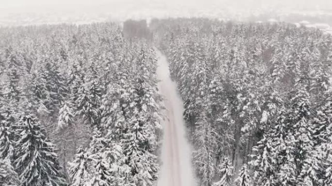冬季积雪覆盖的森林中的道路俯视图