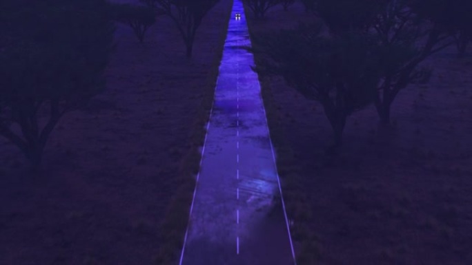 汽车沿着沙漠的柏油路以快速的速度冲入神话般的日落，并带有神奇的蓝色色彩。3d动画