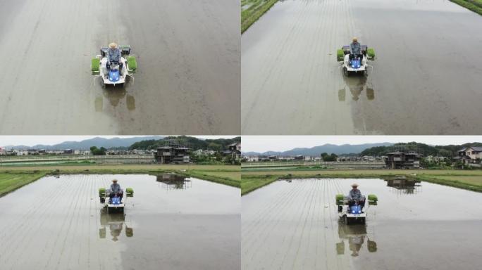 无人机视频，一名老人用稻米气喘机种植水稻作物
