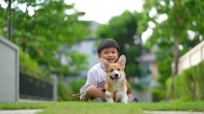 亚洲孩子在花园里玩和亲吻威尔士小柯基犬