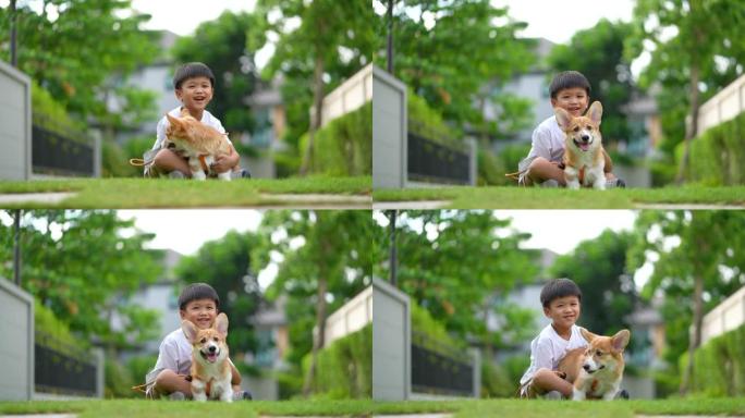亚洲孩子在花园里玩和亲吻威尔士小柯基犬