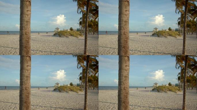棕榈树干特写海滩场景