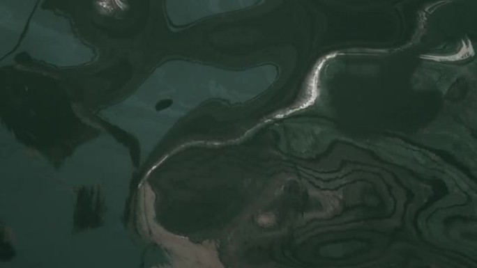 抽象平滑流体，橄榄绿，卡其色绿色水反射背景素材。