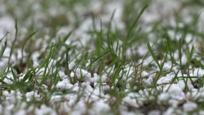 冰雹特写慢动作时落在草地上的冰雹
