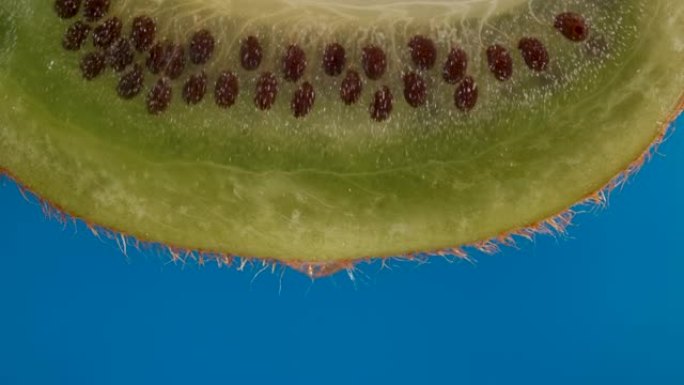 宏观滴水滴落的新鲜绿色猕猴桃切片和蓝色背景上的种子果实。慢动作水滴从多汁的新鲜成熟美味切片猕猴桃，特