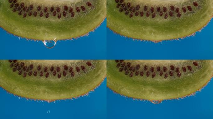 宏观滴水滴落的新鲜绿色猕猴桃切片和蓝色背景上的种子果实。慢动作水滴从多汁的新鲜成熟美味切片猕猴桃，特