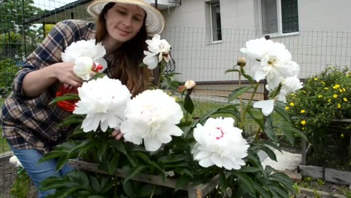 牡丹花的园丁年轻女子夏季家庭园艺和可持续生活方式