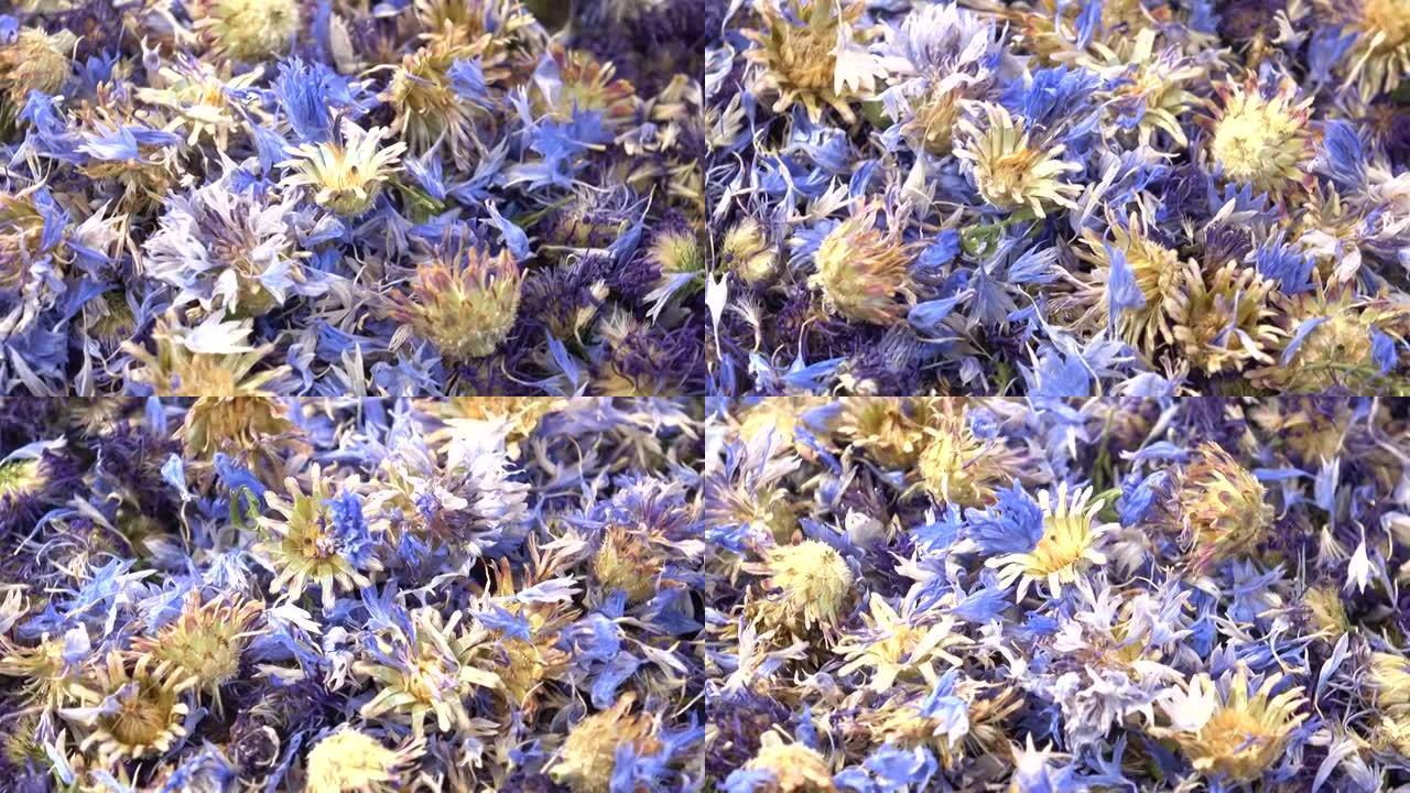 矢车菊和紫苑的干花