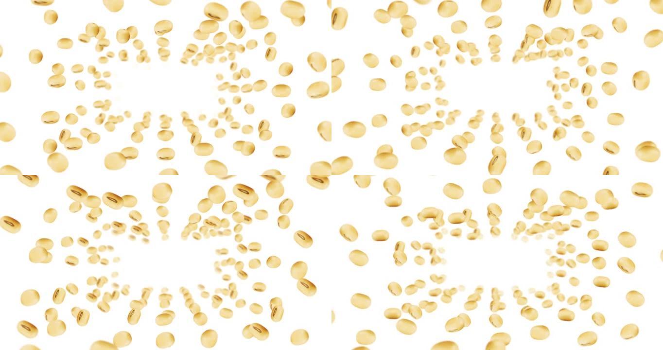 在白色背景上飞行许多大豆。浅棕色谷物。大豆和大豆。健康食品。大豆旋转的3D循环动画。