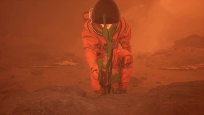 在火星上的宇航员发现了一种不寻常的植物