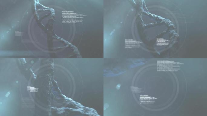 dna链纺丝动画及数据处理