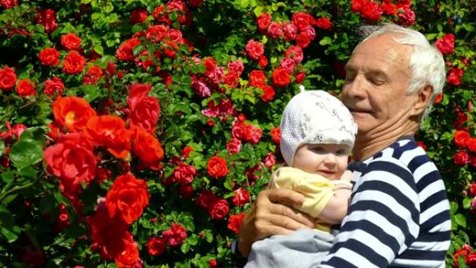 老人和婴儿在玫瑰花园里