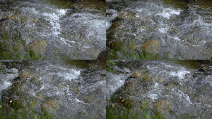 水利水源水资源苔藓空镜头小溪溪流溪水清澈