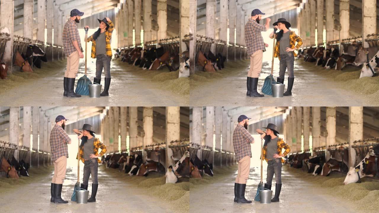 4k视频中年女农场工人戴着牛仔帽，拿着铲子，为牛棚中的年轻男工人提供建议