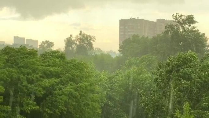 外面下雨。强风。树木摇曳。水从灰色的天空倾泻而出。雨声