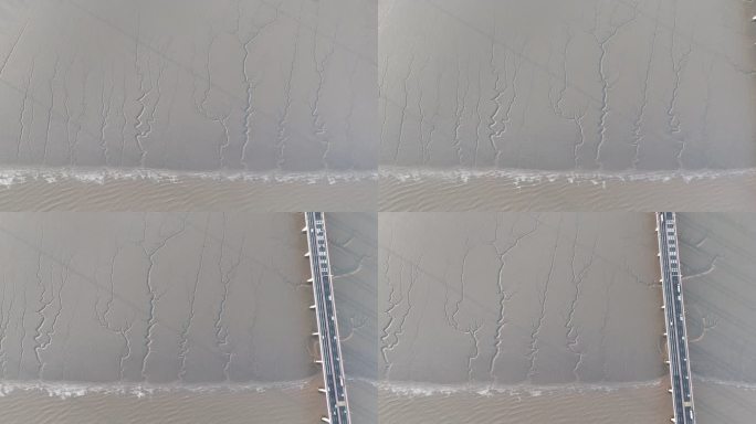 5K原素材-航拍东海滩涂潮汐树