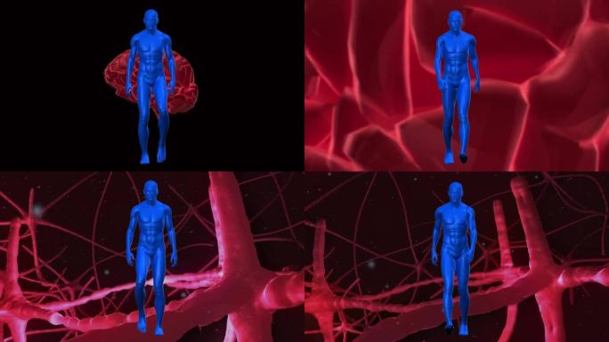 人体模型对抗通过神经元的信号行走的数字动画