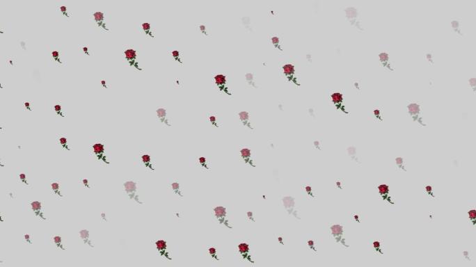 灰色背景上红色花朵催眠运动的动画