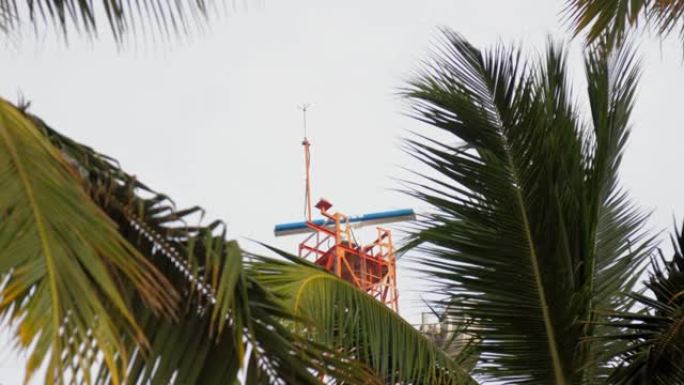通过棕榈树树叶的气象站视图