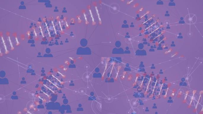 dna链的动画，紫色背景上与人的连接网络图标