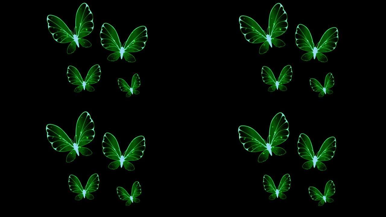 黑色背景上的动画蝴蝶翅膀。