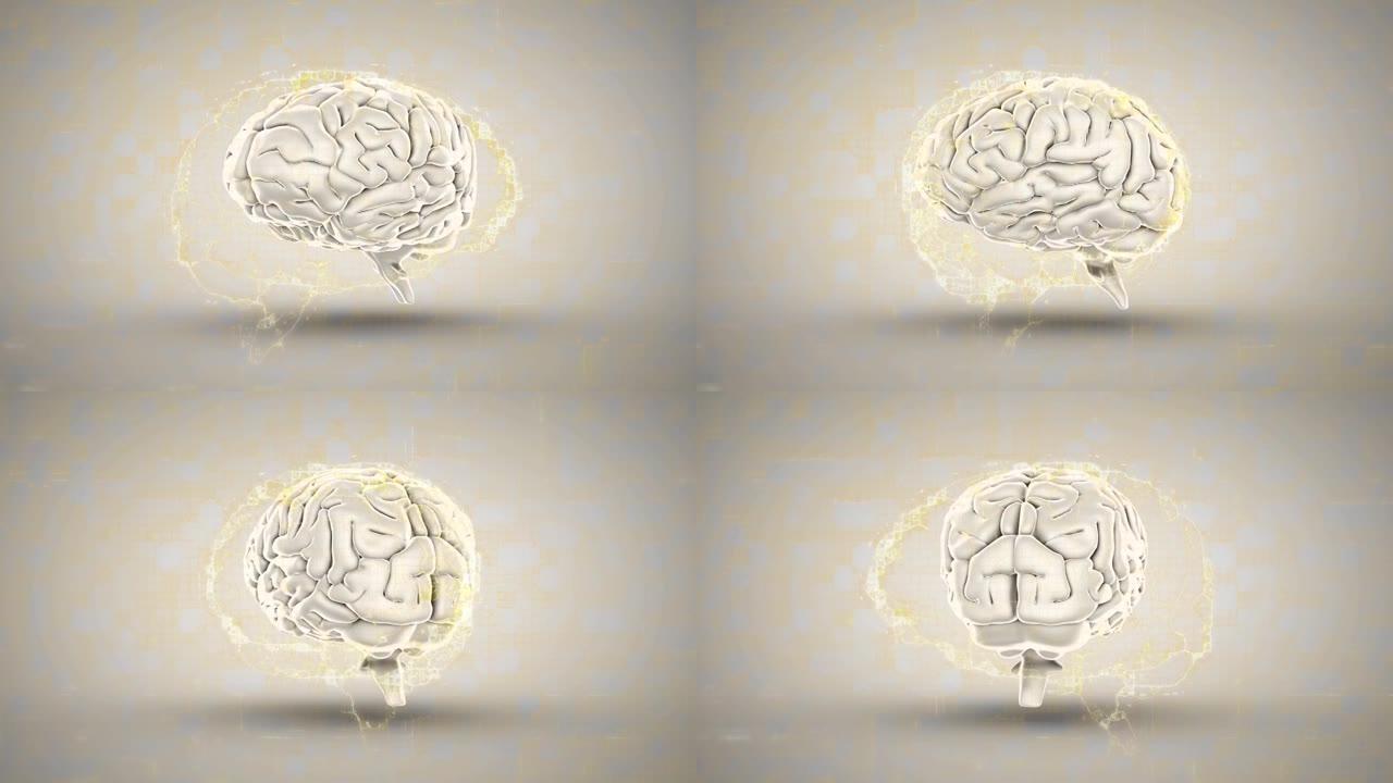 黑色背景下人脑连接网络的数字动画