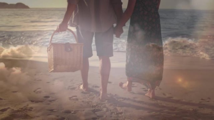 海边带着野餐篮在快乐的老年夫妇上发光的动画