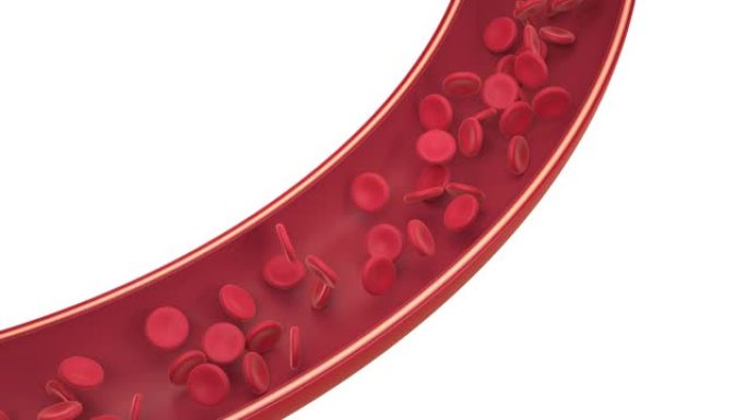 血管中的红细胞和白细胞，3d渲染。
