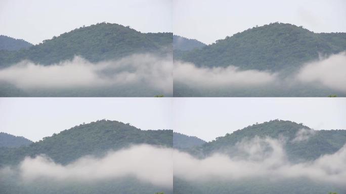 在茂密的森林中放松雾蒙蒙的早晨，雾气流过林地山的时间流逝