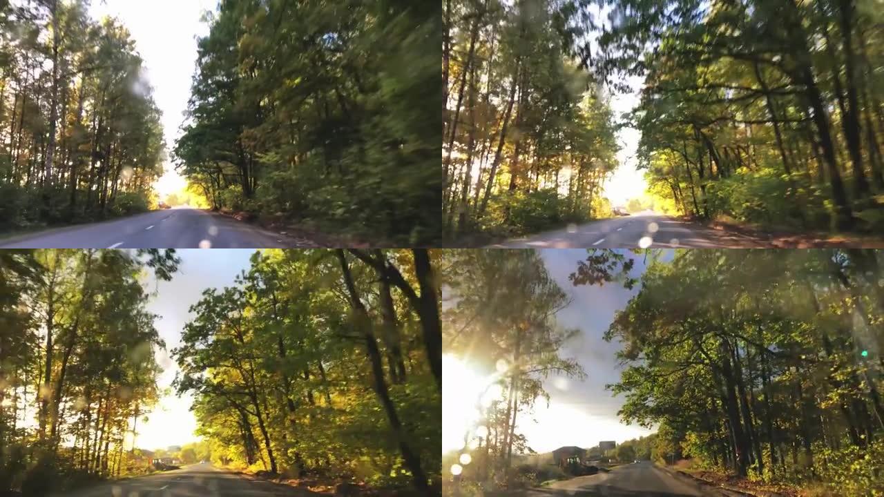 秋天的树木沿路，秋天的景观从车窗