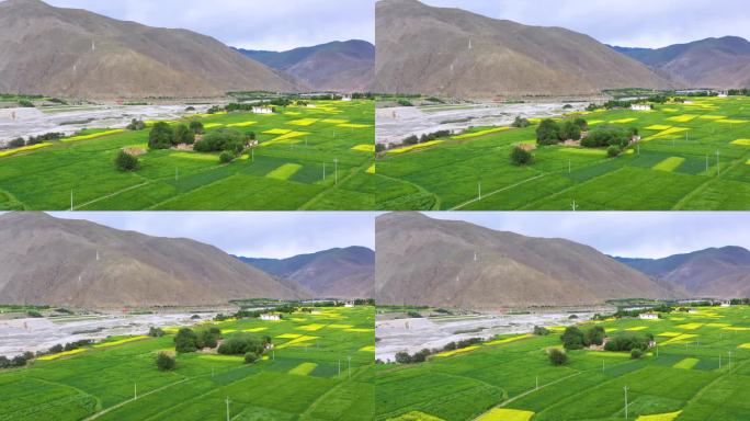 西藏农村 高原农村建设 西藏美丽乡村