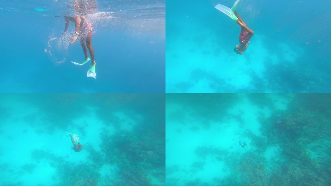 自由呼吸的潜水员深入珊瑚礁