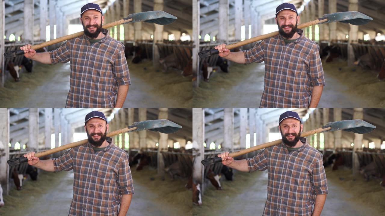 4k视频肖像，年轻的微笑农民肩上拿着铲子站在大型奶牛养殖场