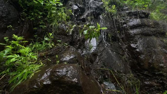 温泉森林海氧吧瀑布溪流水