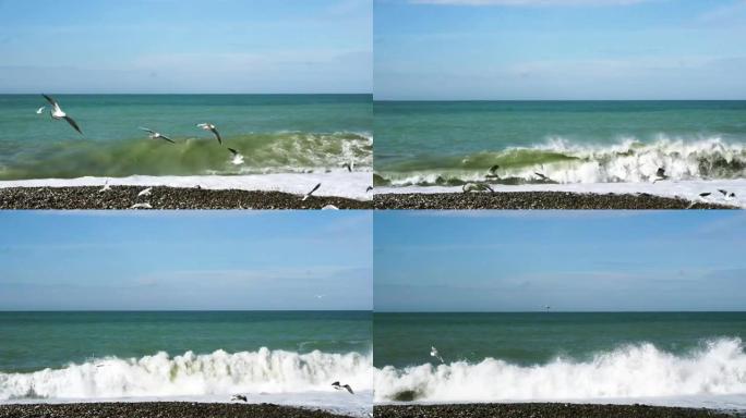 一群海鸥在海浪中飞过。