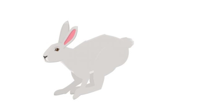 野兔。奔跑的动物野兔的动画。卡通