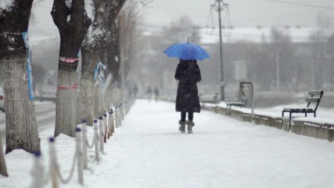 下雪时，年轻女子在公园里打着雨伞走在人行道上，暴风雪使一切都变白了