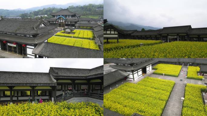 洪雅光明寺油菜花