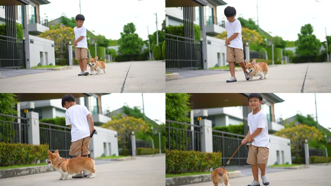 亚洲男孩带着他的柯基犬在家里散步
