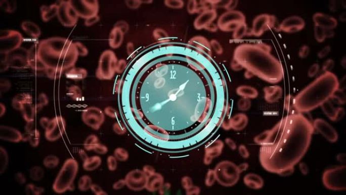 时钟和范围扫描covid细胞的动画，并通过血细胞进行数据处理