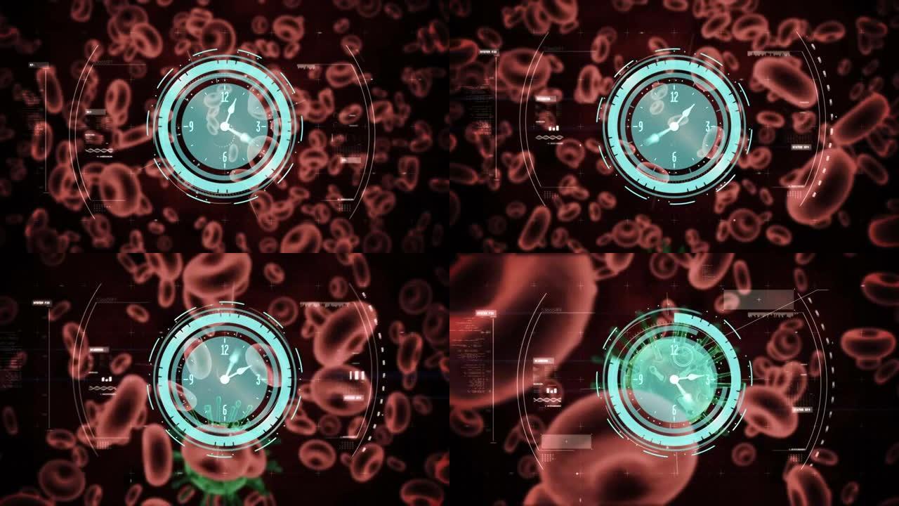 时钟和范围扫描covid细胞的动画，并通过血细胞进行数据处理