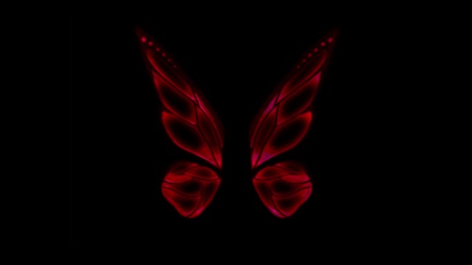 黑色背景上的动画彩色蝴蝶翅膀幻想风格。